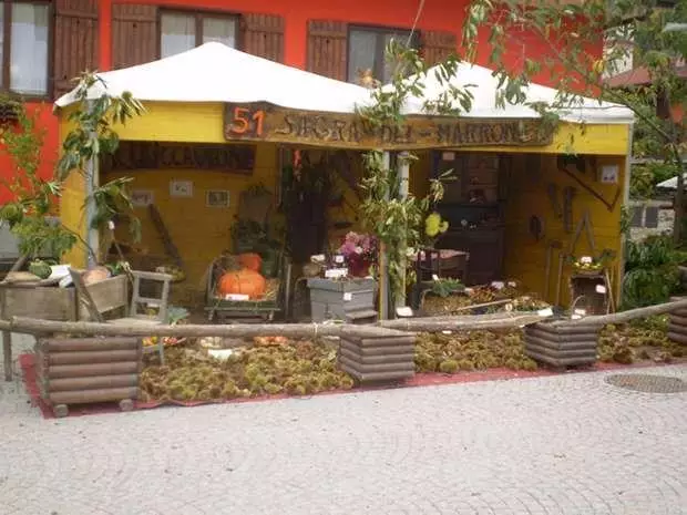 Immagine di copertina